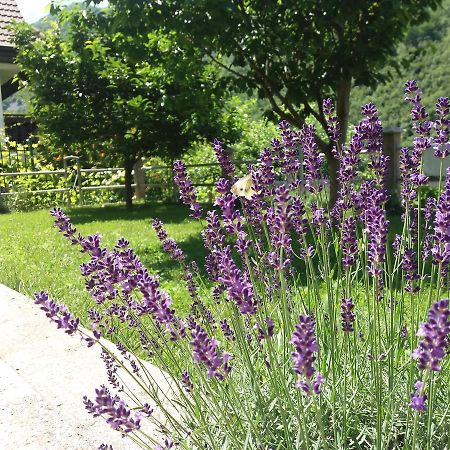 Kuca Lavanda Dreznjak Exterior foto