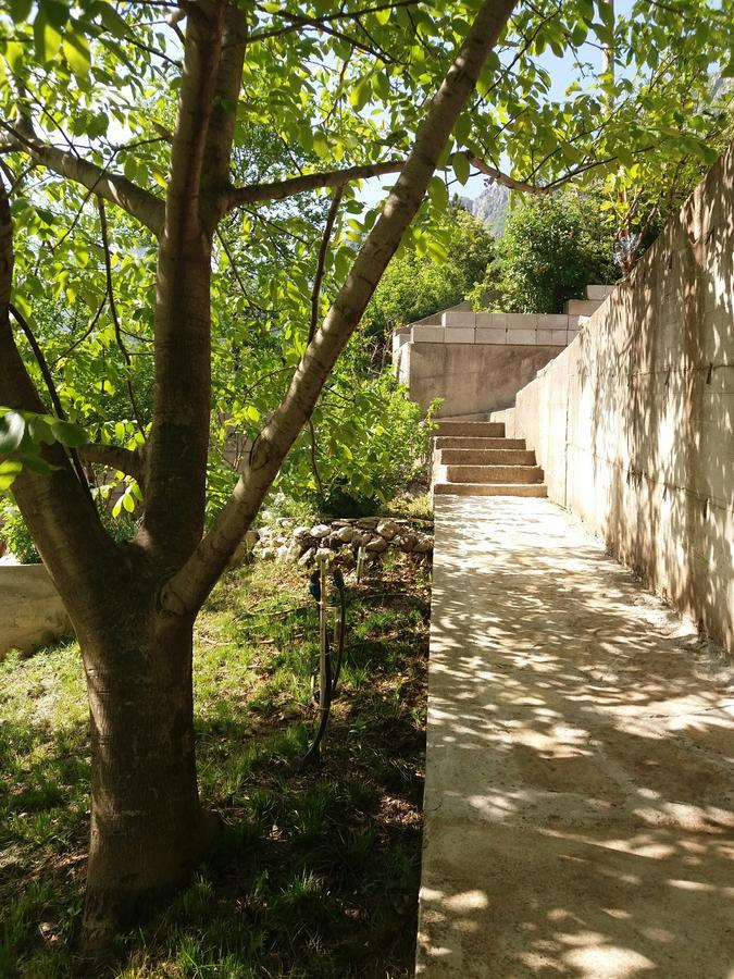 Kuca Lavanda Dreznjak Exterior foto