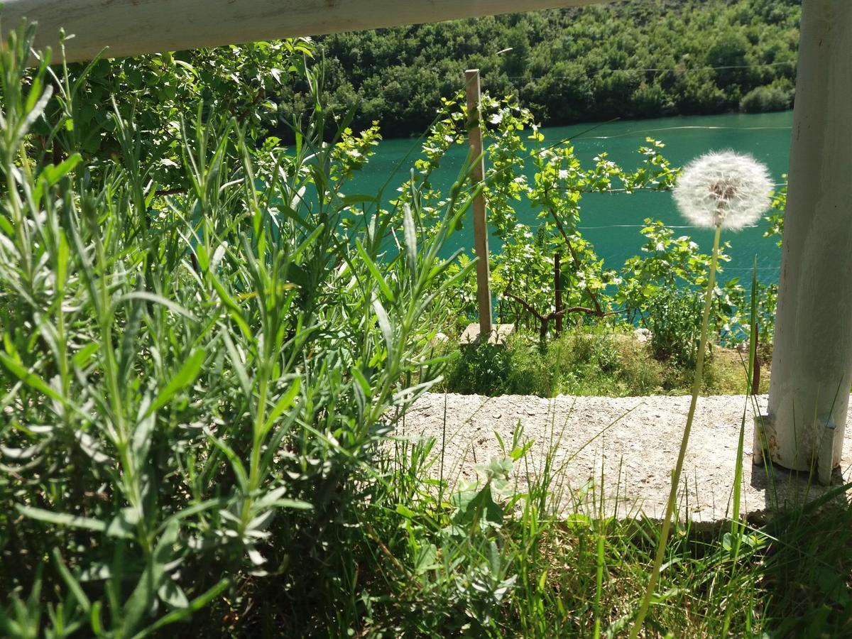 Kuca Lavanda Dreznjak Exterior foto