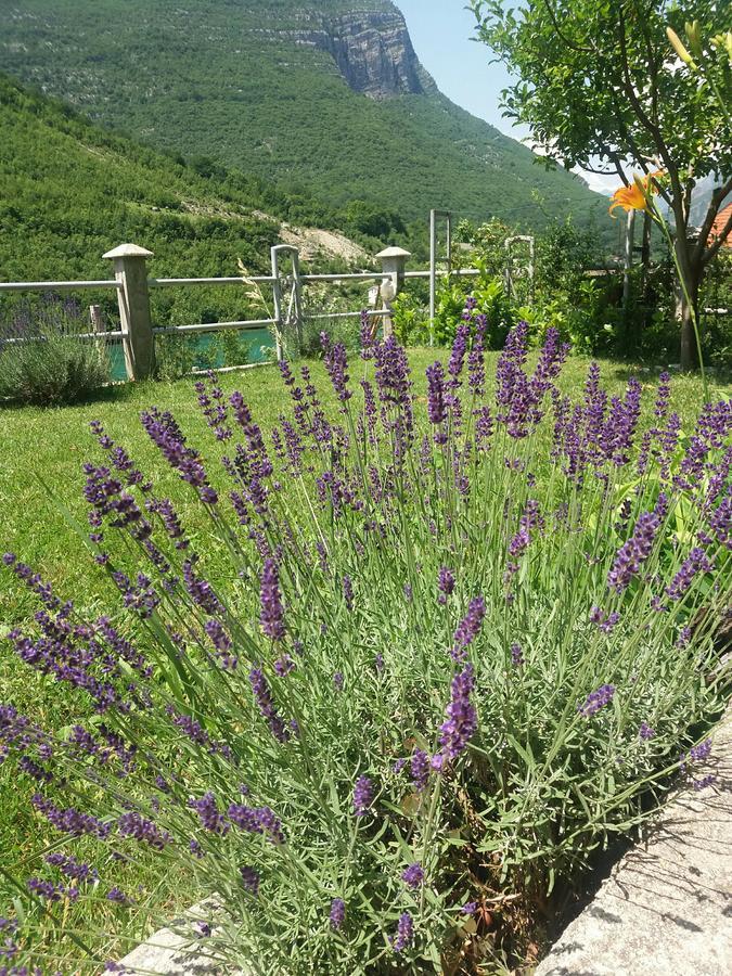Kuca Lavanda Dreznjak Exterior foto